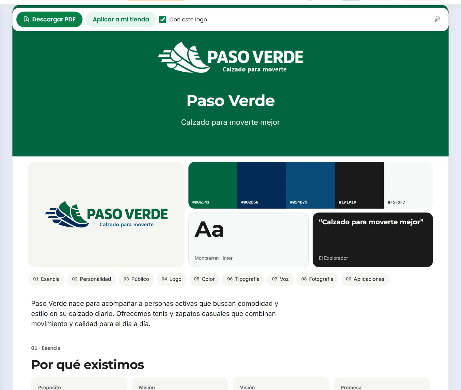 Manual de marca creado con el logo mejorado